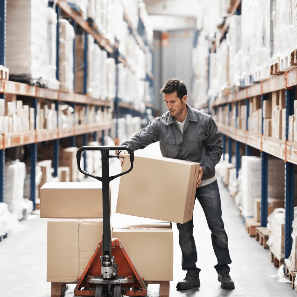 الرئيسية 9 10 الرئيسية