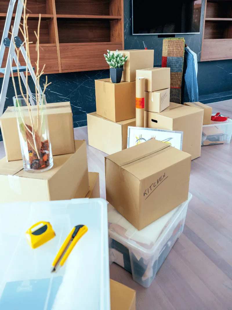 الرئيسية 2 3 1 الرئيسية