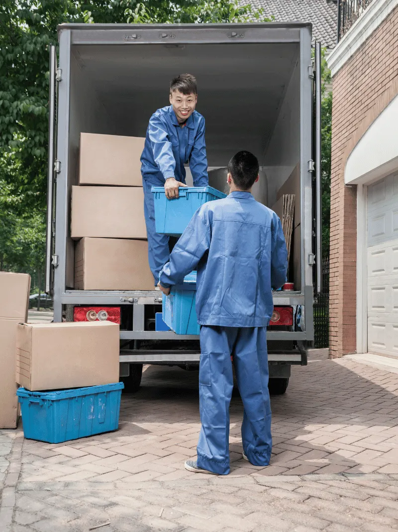 الرئيسية 8 7 1 الرئيسية